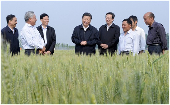 海利集團(tuán),長(zhǎng)沙殺蟲(chóng)劑,長(zhǎng)沙光氣衍生物,長(zhǎng)沙氨基酸保護(hù)劑,長(zhǎng)沙鋰離子電池材料