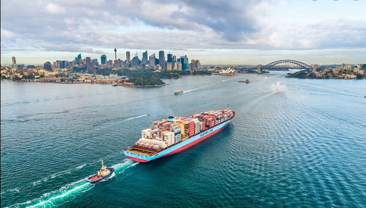 貨代要涼涼？航運(yùn)公司正建立客戶數(shù)據(jù)庫，以徹底甩開代理商！