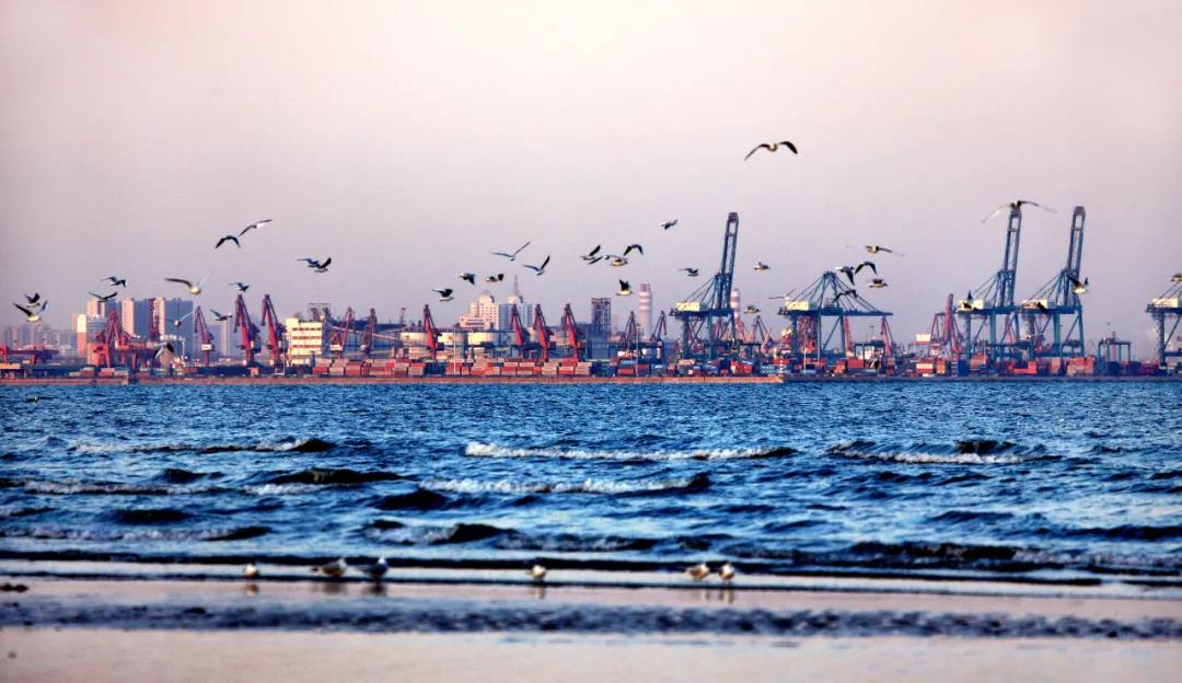 歐盟與拜登 航運業(yè)的“臥龍鳳雛”？