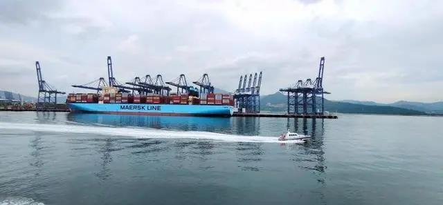 無視疫情影響！深圳鹽田港上半年集裝箱吞吐量仍增長21%！