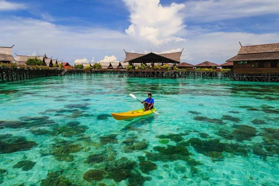 揪心！Delta變異毒株肆虐亞洲，印尼、馬來西亞、越南、韓國(guó)等多國(guó)確診創(chuàng)新高