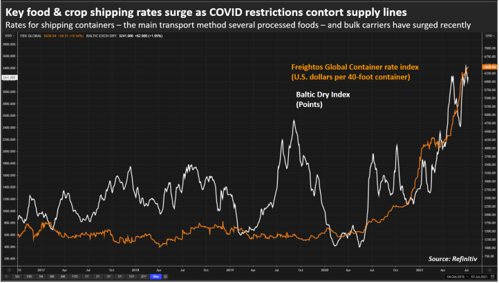 海運成本翻倍！國際糧價壓力山大