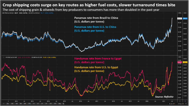 海運成本翻倍！國際糧價壓力山大