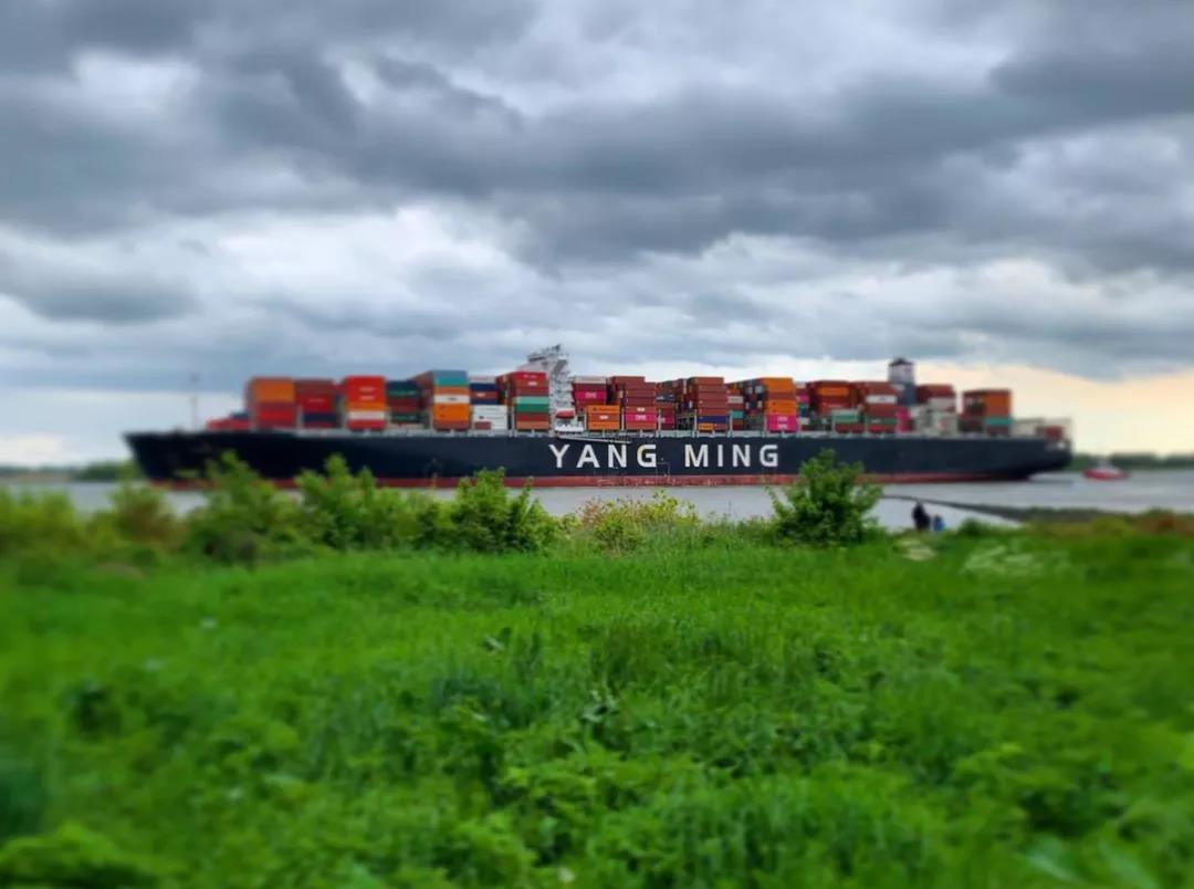 陽明海運(yùn)否認(rèn)訂購(gòu)24,000TEU集裝箱船 