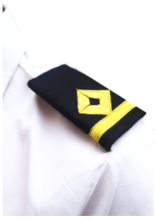 杠上了！印度疫火熊熊，船員: 不去! 船東: 去! ...公婆各有理, 分歧如何解？