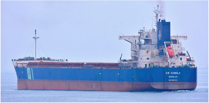 BW用了5年的散貨船, 轉(zhuǎn)手賺了600萬！今年一季度二手船交易量創(chuàng)紀(jì)錄