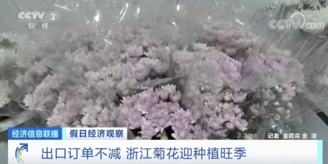 這種植物零售價(jià)翻倍！出口國(guó)外走俏！這種進(jìn)口水果價(jià)格卻降了！