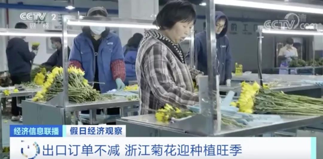 這種植物零售價(jià)翻倍！出口國(guó)外走俏！這種進(jìn)口水果價(jià)格卻降了！