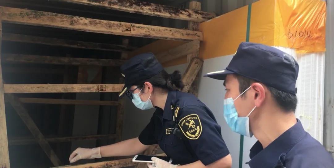 解讀 | 入境貨物木質包裝查驗工作  