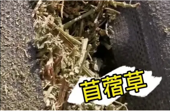 貨代貨主注意！海關(guān)嚴(yán)查，嚴(yán)禁空箱夾帶！