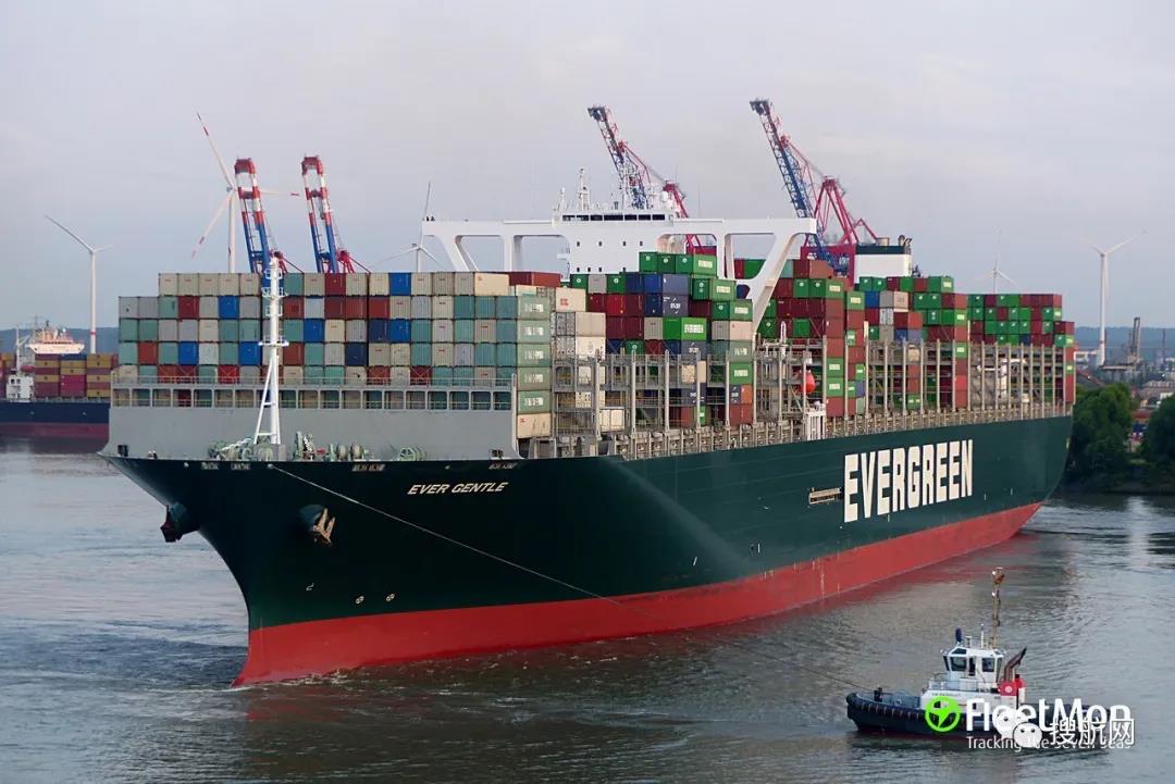 事故丨MSC一大型箱船與碼頭發(fā)生碰撞；長(zhǎng)榮又一箱船遭遇事故