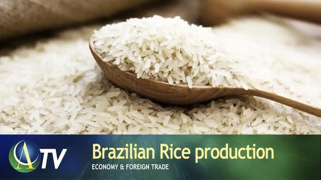 巴西物價暴漲！貨幣嚴(yán)重貶值！疫情嚴(yán)峻，鄰國邊境關(guān)閉…