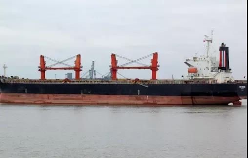 膽大！一貨輪明明15人染疫, 卻謊報(bào)無疫申請通行！香港“熔斷機(jī)制”或擴(kuò)展至船務(wù)公司