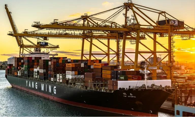 跑一趟賺一艘船！九大船司半年?duì)I收超1000億美元，凈利潤(rùn)已近去年2倍！