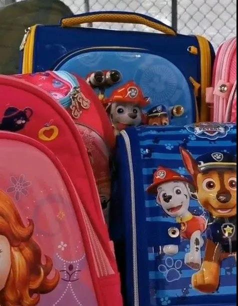 海關(guān)嚴(yán)打侵權(quán)！這些產(chǎn)品出口被查獲