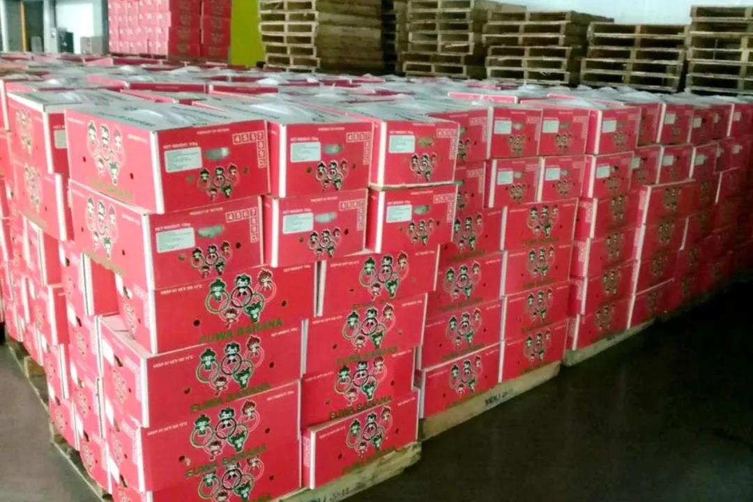 海關(guān)嚴(yán)打侵權(quán)！這些產(chǎn)品出口被查獲