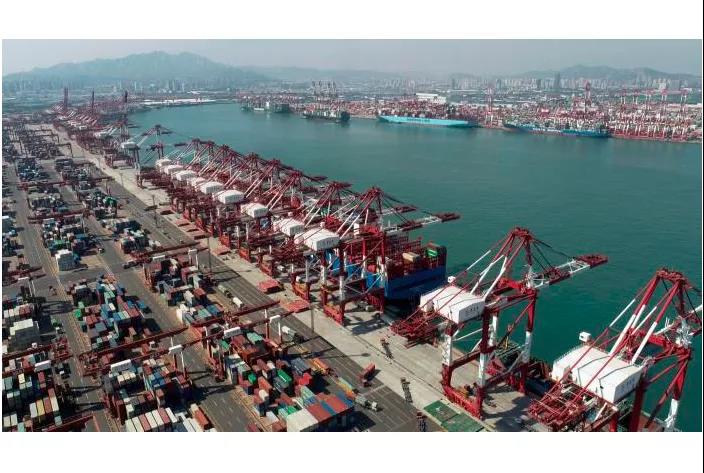 改行！這家公司, 5艘散貨船跑去運集裝箱！...P&I緊急提醒