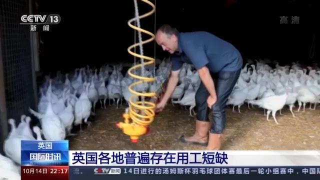 大量貨物堆積港口，這些地方深陷供應(yīng)鏈危機(jī)