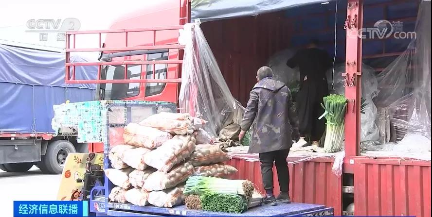 吃不起！菠菜賣到20元/斤？兩條絲瓜16元！菜比肉貴？全國菜價連漲，一周均價漲近30%！