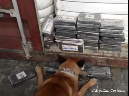 巴西已成“毒窩”！MSC被嚇跑，無限期停止該國多式聯(lián)運！...船舶注意防范！