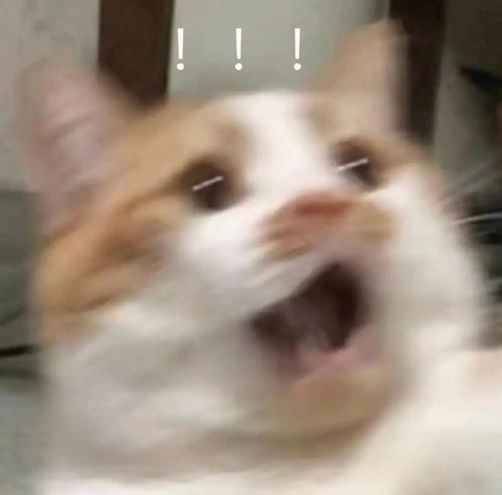 細(xì)思極恐！人體唾液、120斤頭發(fā)&hellip;你永遠(yuǎn)想不到海關(guān)每天能截獲到啥！