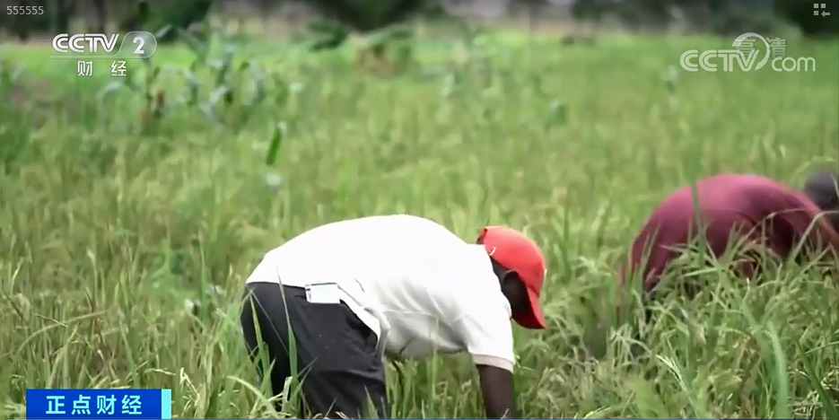 緊急！只夠3天！大關(guān)停，幾十家企業(yè)受影響！