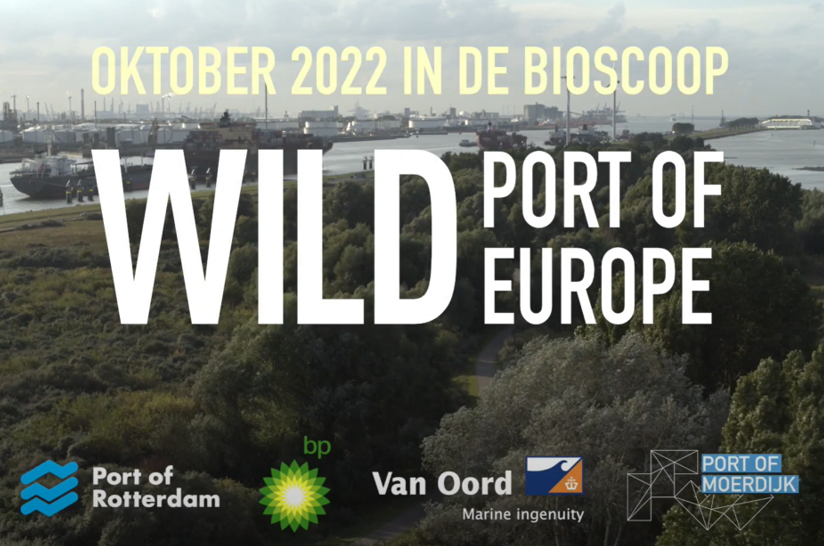 海外港口千奇百怪的營(yíng)銷方法