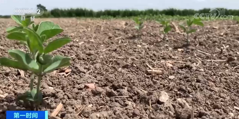 突發(fā)！這個(gè)國家宣布：多地進(jìn)入緊急狀態(tài)！