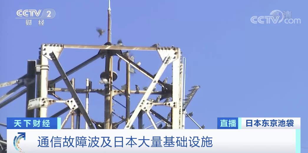 突發(fā)！該國發(fā)生大面積斷網(wǎng)：報(bào)警電話打不通、不能刷卡、不能取錢…數(shù)百萬人受影響