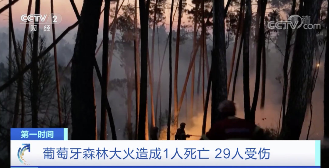 突發(fā)！這一國家宣布：多地進(jìn)入緊急狀態(tài)！