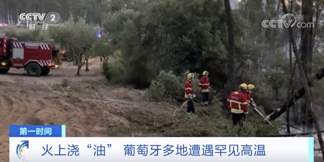 突發(fā)！這一國家宣布：多地進(jìn)入緊急狀態(tài)！