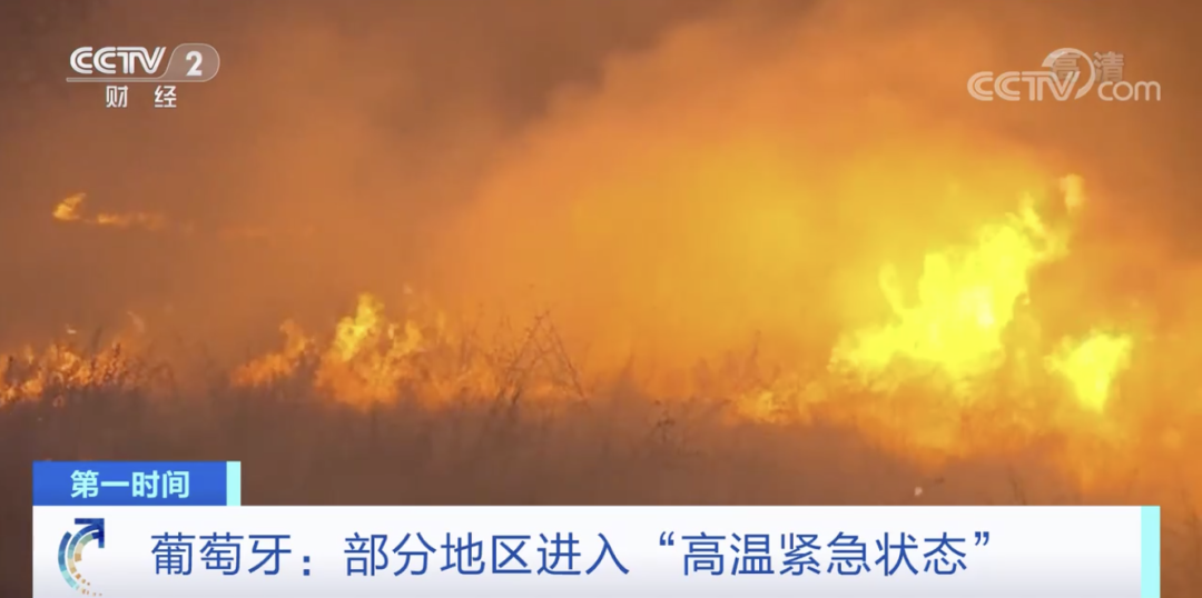 突發(fā)！這一國家宣布：多地進(jìn)入緊急狀態(tài)！