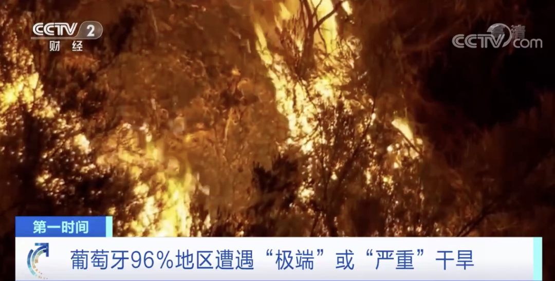 突發(fā)！這一國家宣布：多地進(jìn)入緊急狀態(tài)！