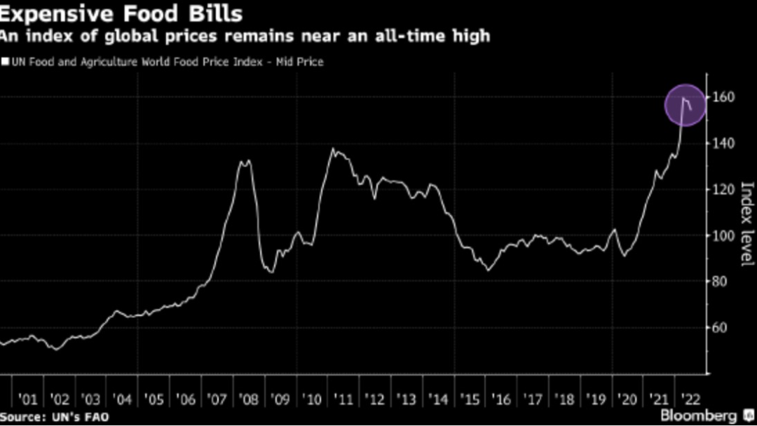 剛剛！俄烏協(xié)議達成：黑海三個港口將恢復(fù)糧食出口