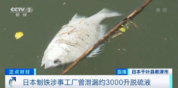 剛剛，又一巨頭工廠出事......