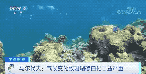 突發(fā)！這個(gè)國(guó)家出現(xiàn)不明原因肺炎，還有這幾個(gè)國(guó)家！