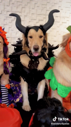 瀏覽量近千億！TikTok Shop賣家如何借力萬圣節(jié)爆單?