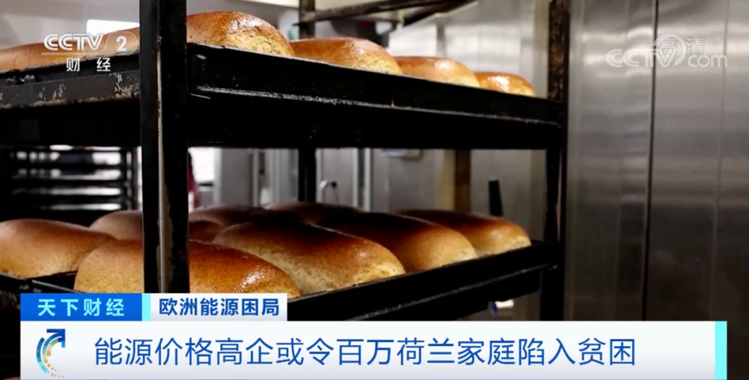 荷蘭多地商家正瀕臨破產