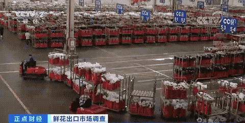 它，在國外賣爆了！