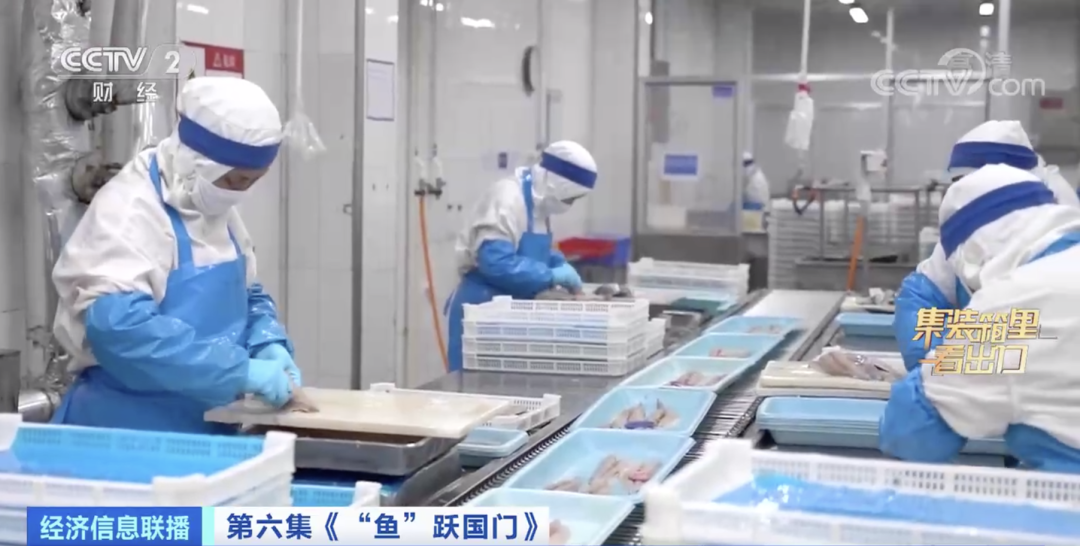 賣爆了！又一全球第一！