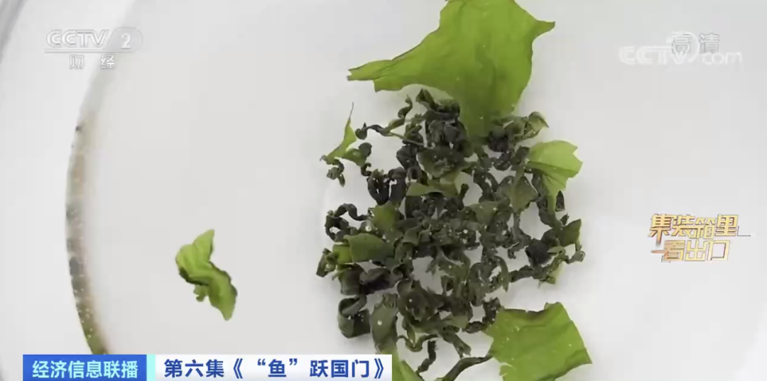 賣爆了！又一全球第一！