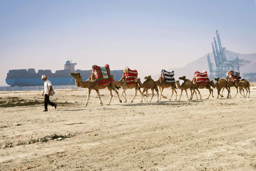 這10個(gè)碼頭，你要都見過算我輸 ！