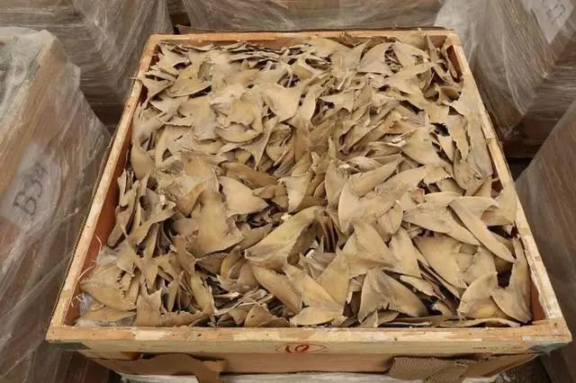 涉約3億港元！香港海關(guān)破獲今年最大宗海路走私案