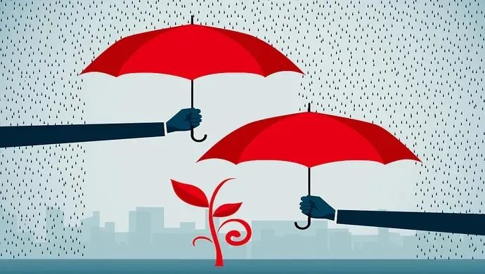 【關(guān)稅征管】滯納金減免政策及申請(qǐng)指南