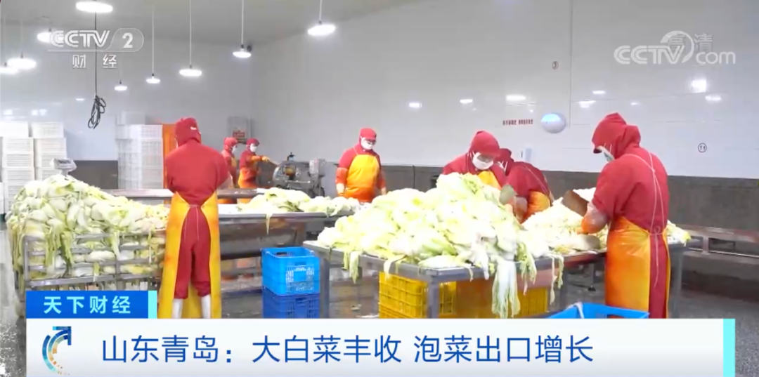 這個(gè)產(chǎn)品在韓國(guó)賣爆了！或?qū)⒄柬n國(guó)年需求量一半！