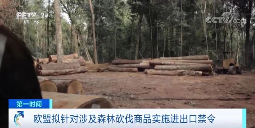 央視關(guān)注！這些商品，擬禁止進(jìn)出口歐盟國(guó)家！違者將面臨罰款