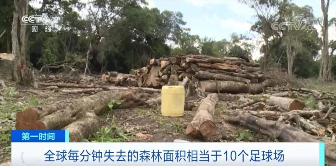 這些商品，擬禁止進(jìn)出口！歐盟達(dá)成臨時(shí)協(xié)議