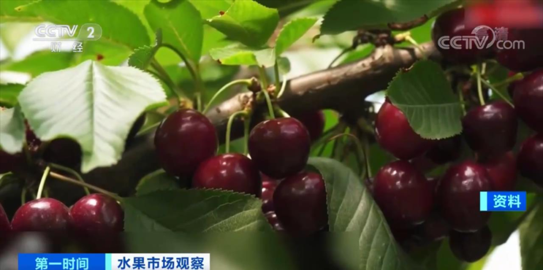 碼頭全是貨！再過十天，這個產(chǎn)品將大降價？