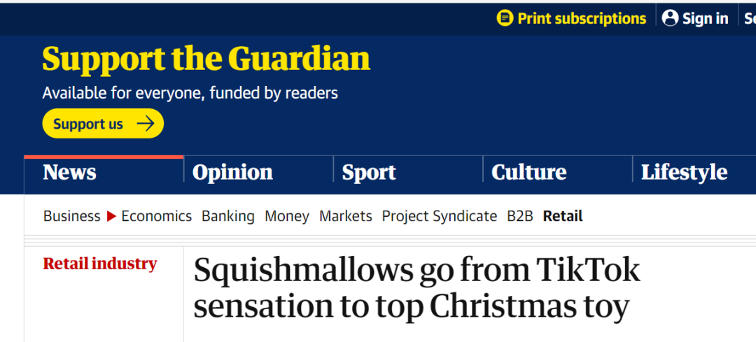 爆紅TikTok ！由一款抱枕掀起的玩具收藏潮