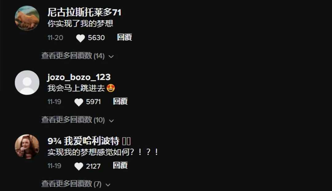 爆紅TikTok ！由一款抱枕掀起的玩具收藏潮